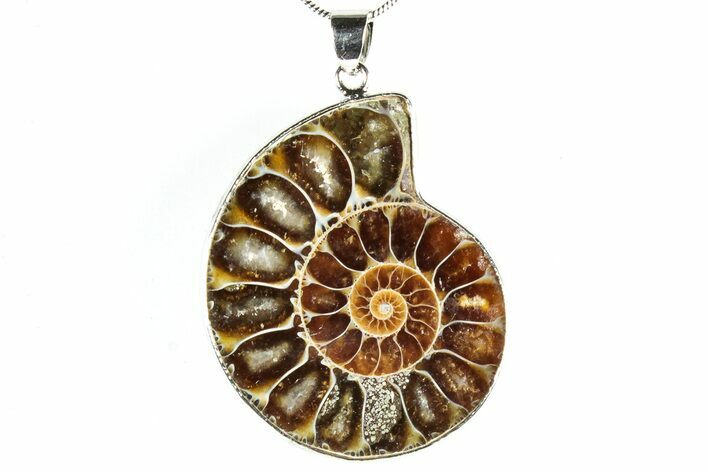 Fossil Ammonite Pendant - Million Years Old #306504